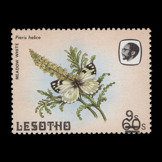 Lesotho 1986 (MNH) 9s/60s Meadow White single