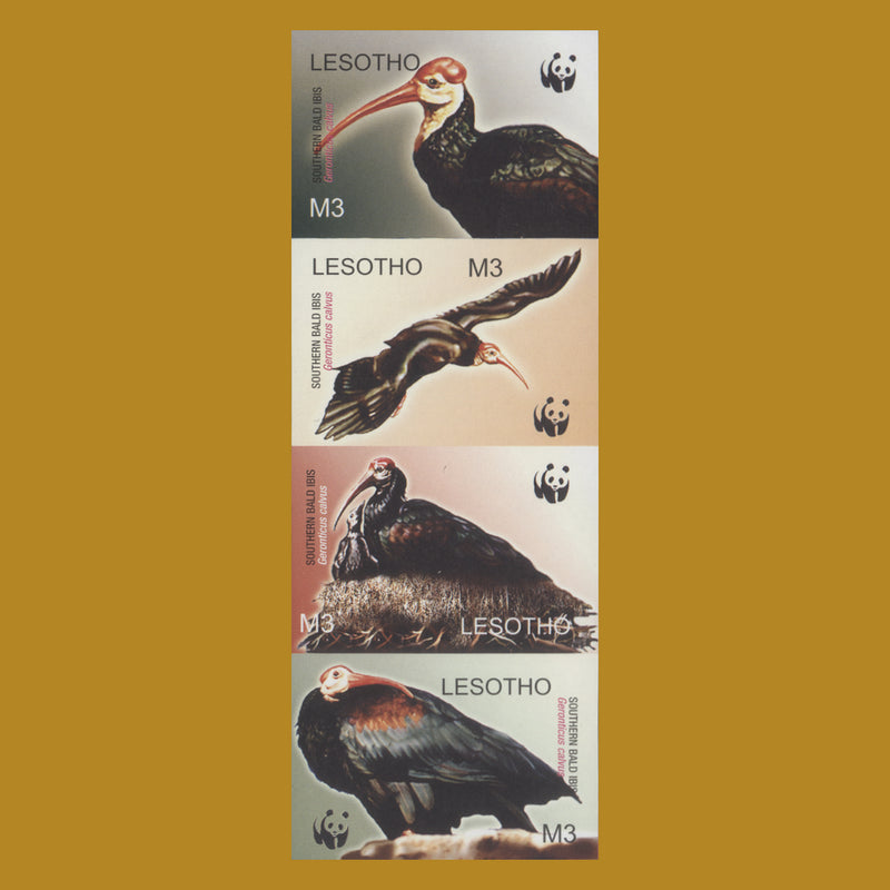 Lesotho 2004 Bald Ibis imperf proof vertical strip