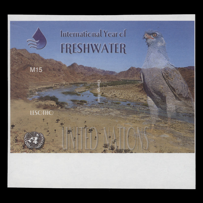 Lesotho 2004 M15 International Year of Freshwater imperf proof miniature sheet