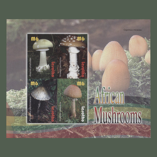 Lesotho 2007 Mushrooms imperf proof sheetlet of four stamps