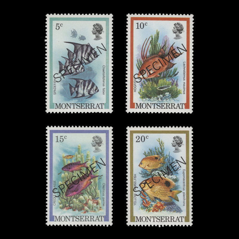 Montserrat 1981 (MNH) Fish definitives with SPECIMEN overprint