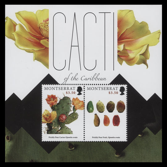 Montserrat 2012 (MNH) Cacti of the Caribbean miniature sheet