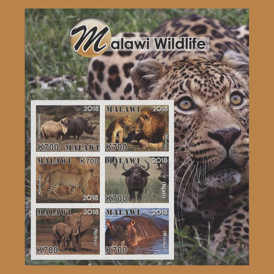 Malawi 2019 (Variety) Wildlife imperforate sheetlet