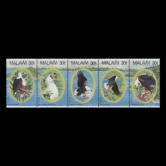 Malawi 1983 (MNH) African Fish Eagle strip