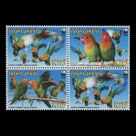 Malawi 2009 Lilian's Lovebird block