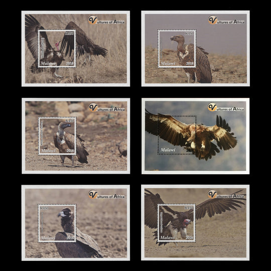 Malawi 2018 (MNH) K450 Vultures miniature sheets including withdrawn design