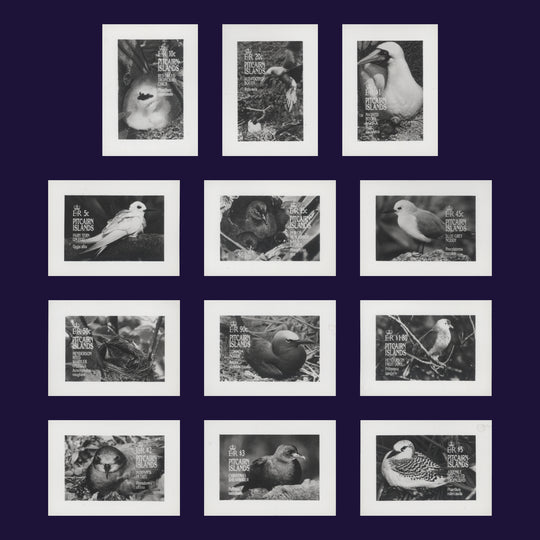 Pitcairn Islands 1995 Birds photographic proofs