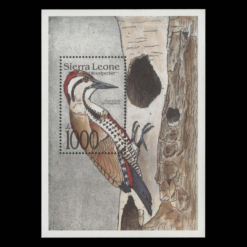 Sierra Leone 1992 (MNH) Le1000 Fire-Bellied Woodpecker miniature sheet