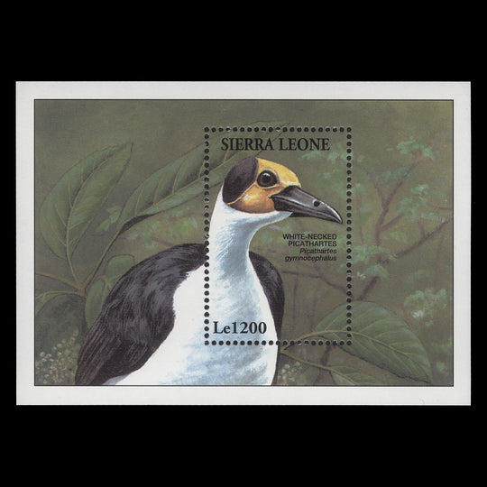 Sierra Leone 1994 (MNH) Le1200 White-Necked Picathartes miniature sheet