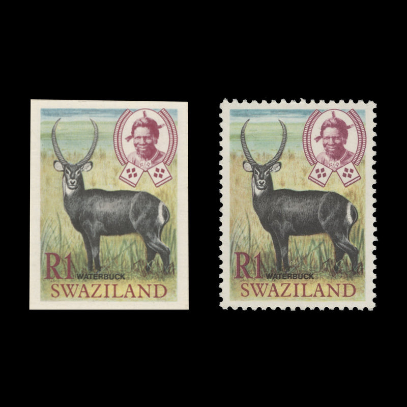 Swaziland 1969 R1 Waterbuck imperf proof on presentation card