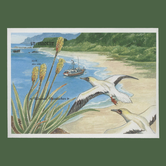 Saint Vincent 1992 Aloe/Medicinal Plants imperf proof miniature sheet
