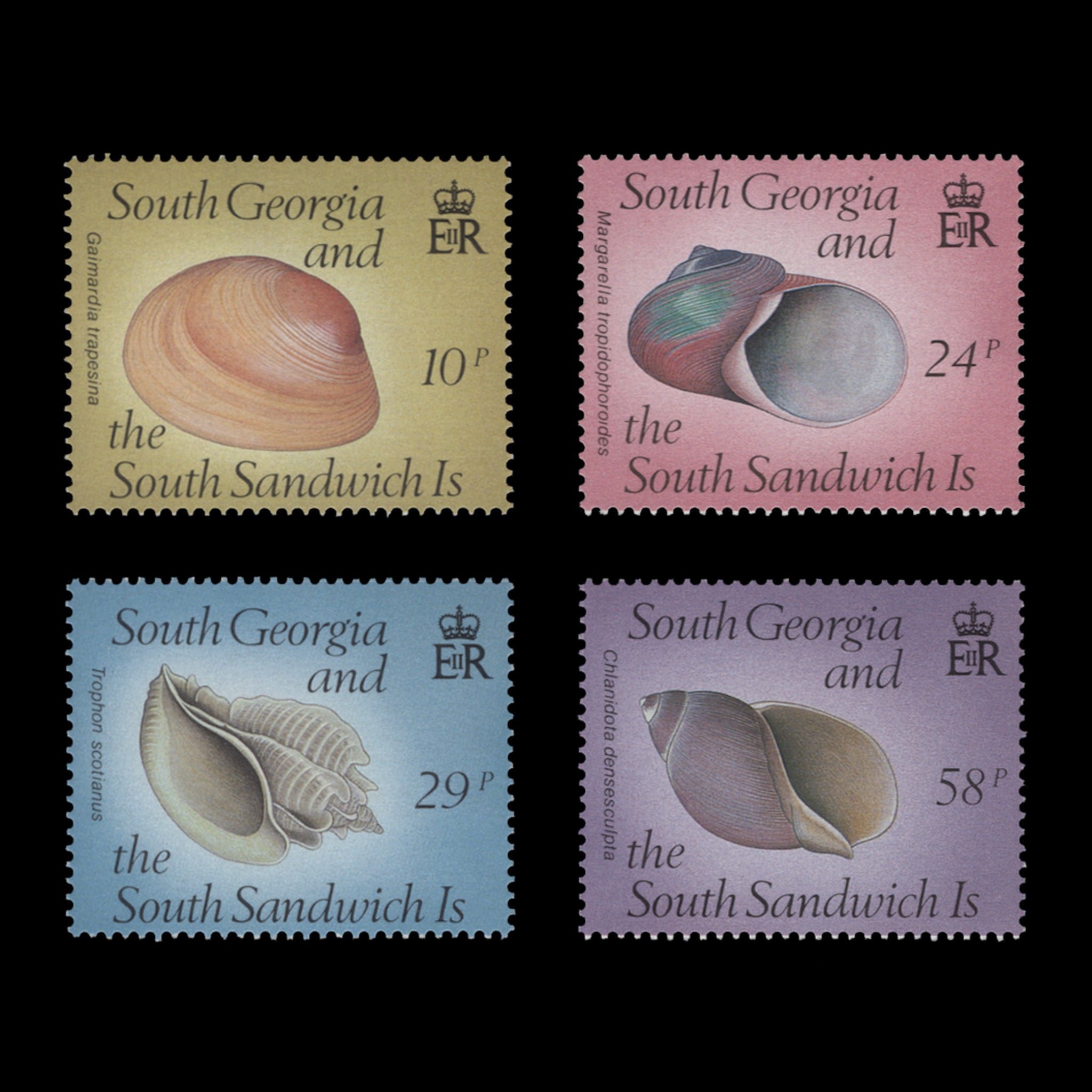 South Georgia 1988 (MNH) Sea Shells set – ZEBOOSE.COM
