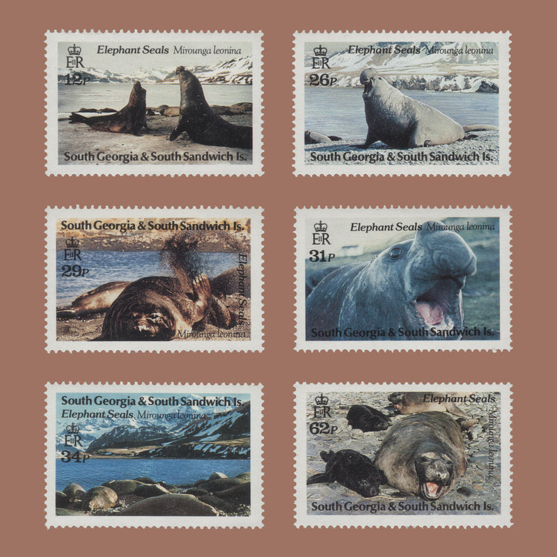 South Georgia 1991 Elephant Seals photographic proofs