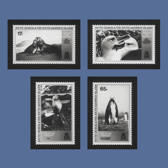 South Georgia 1994 Life in the Freezer photographic proofs