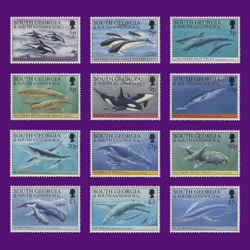 South Georgia 1994 Whales and Dolphins photographic proofs