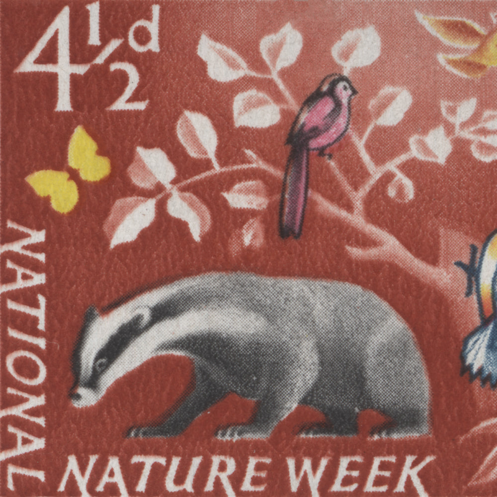1963 National Nature Week