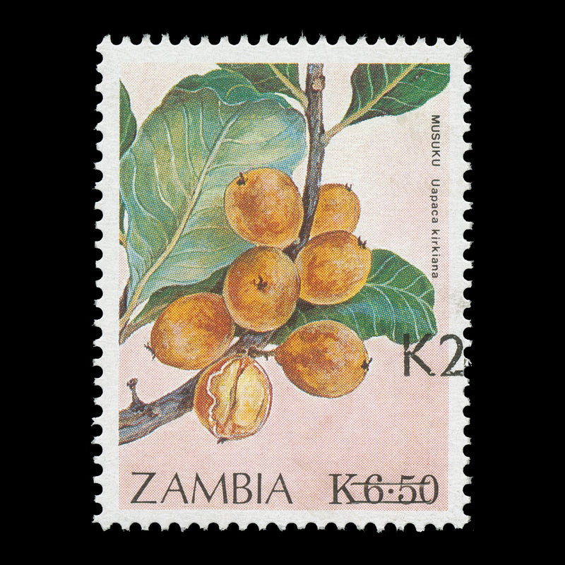 Zambia 1991 (MNH) K2/K6.50 Musuku