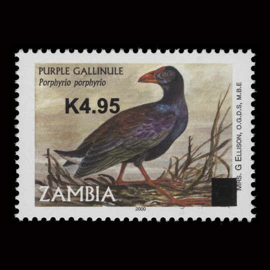 Zambia 2014 (MNH) K4.95/C Purple Gallinule provisional