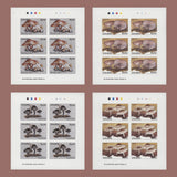 Zambia 1998 (Variety) Mushrooms of the World imperforate sheetlets