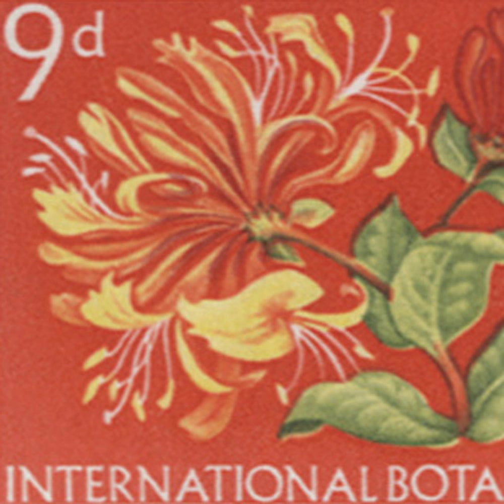 1964 International Botanical Congress