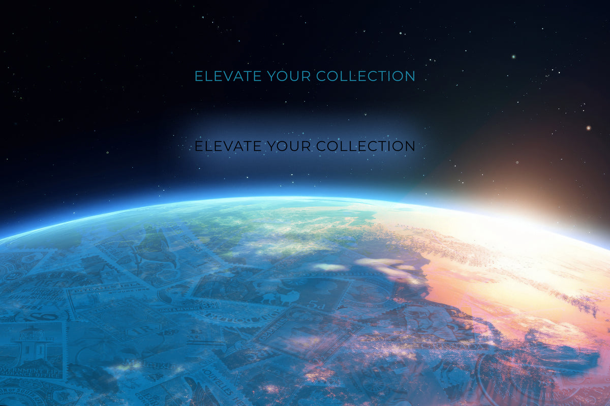 elevate your collection at zeboose.com
