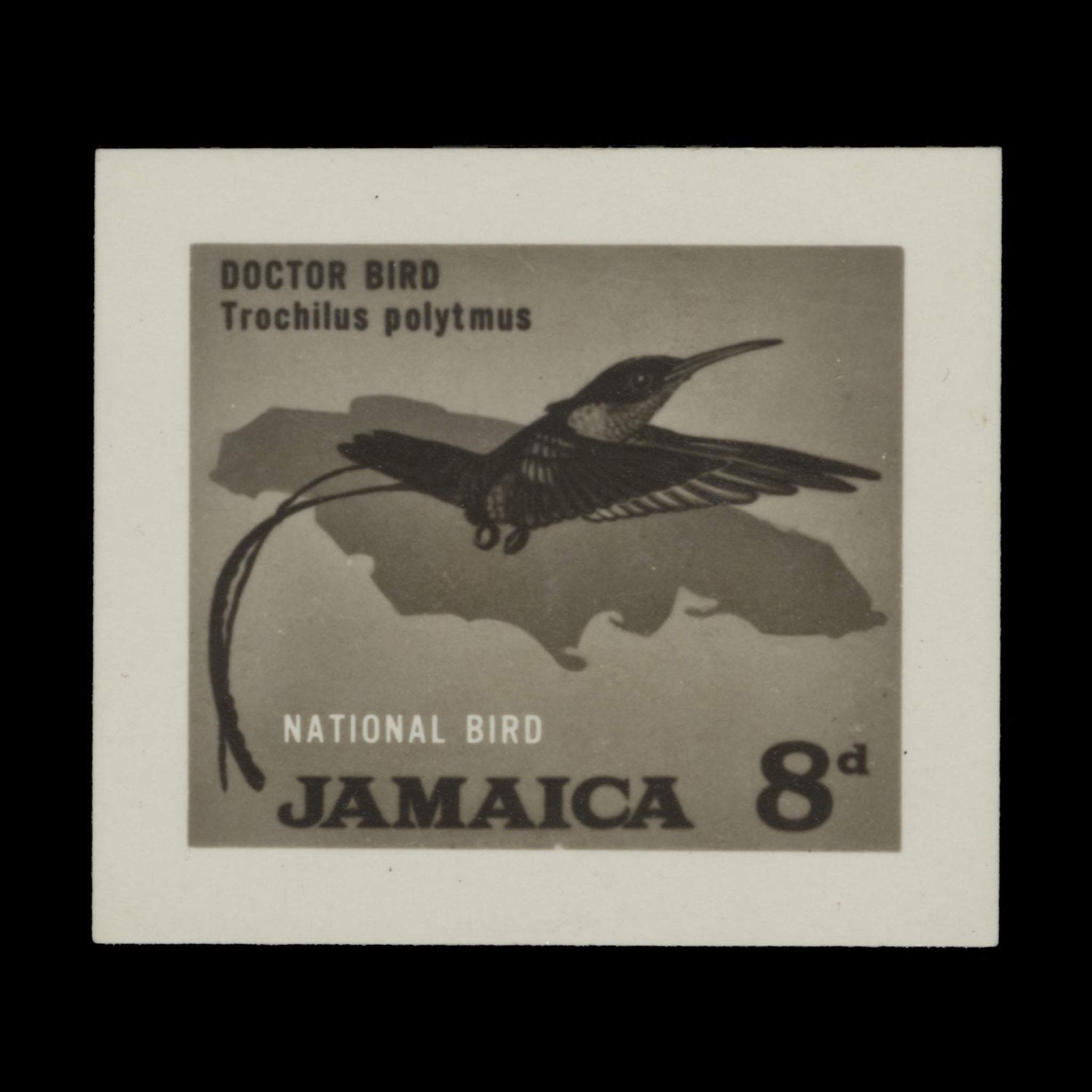 Jamaica 1964 Doctor Bird bromide proof – ZEBOOSE.COM