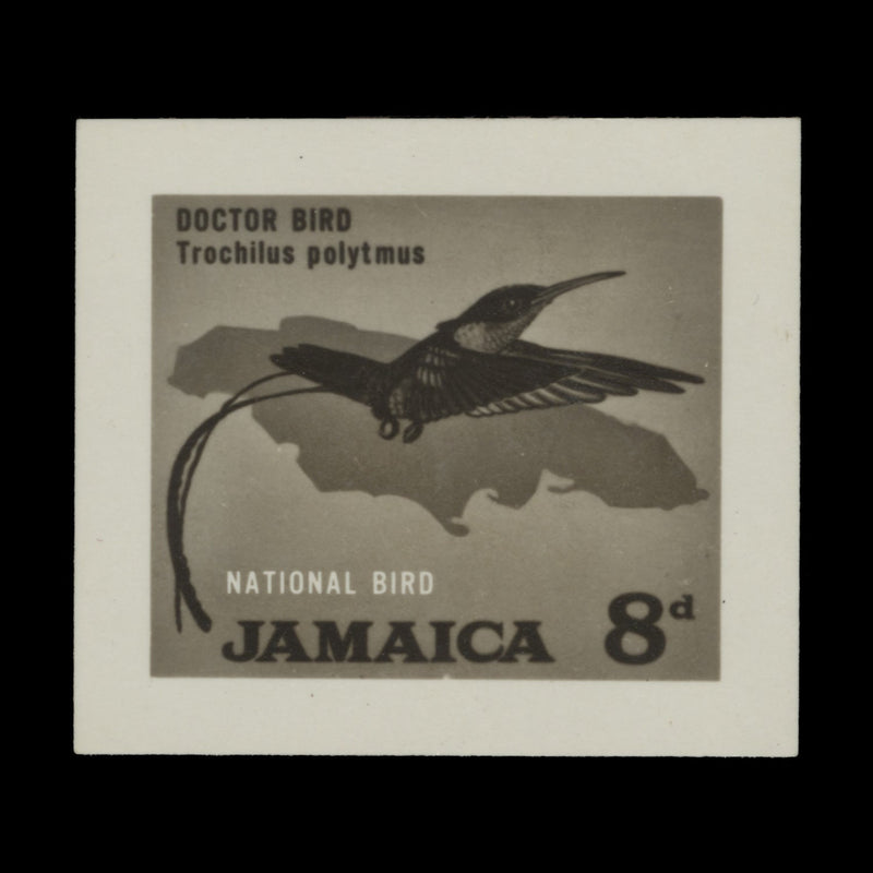 Jamaica 1964 Doctor Bird bromide proof