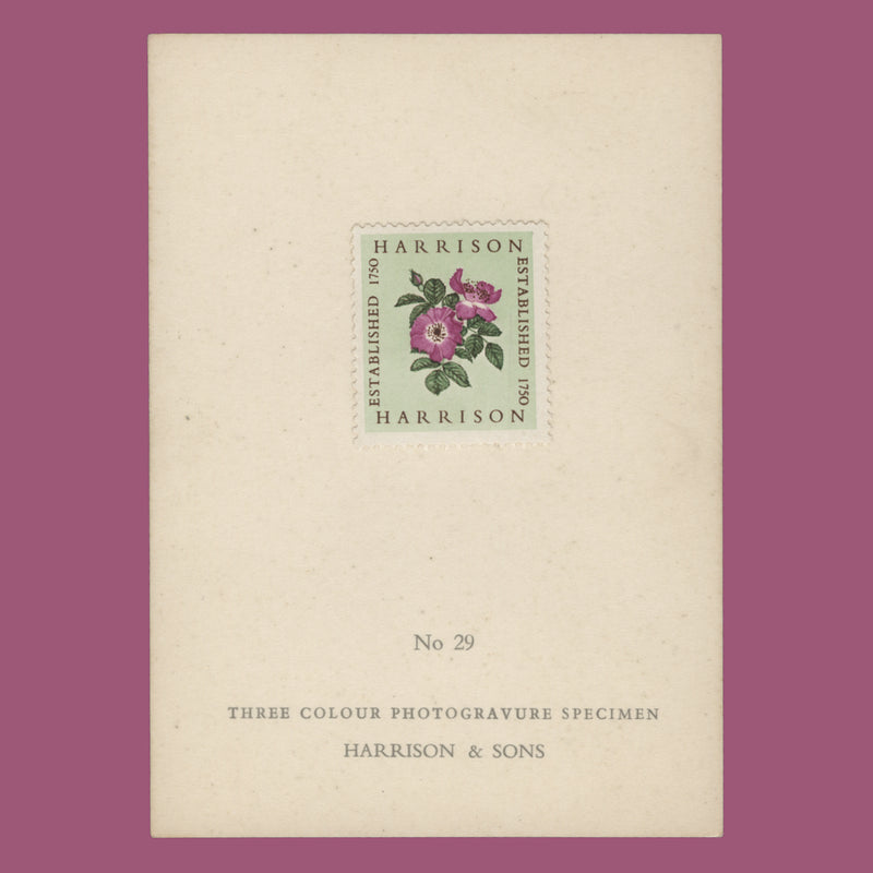 1954 Harrison three-colour Alexandra Rose presentation card, no 29