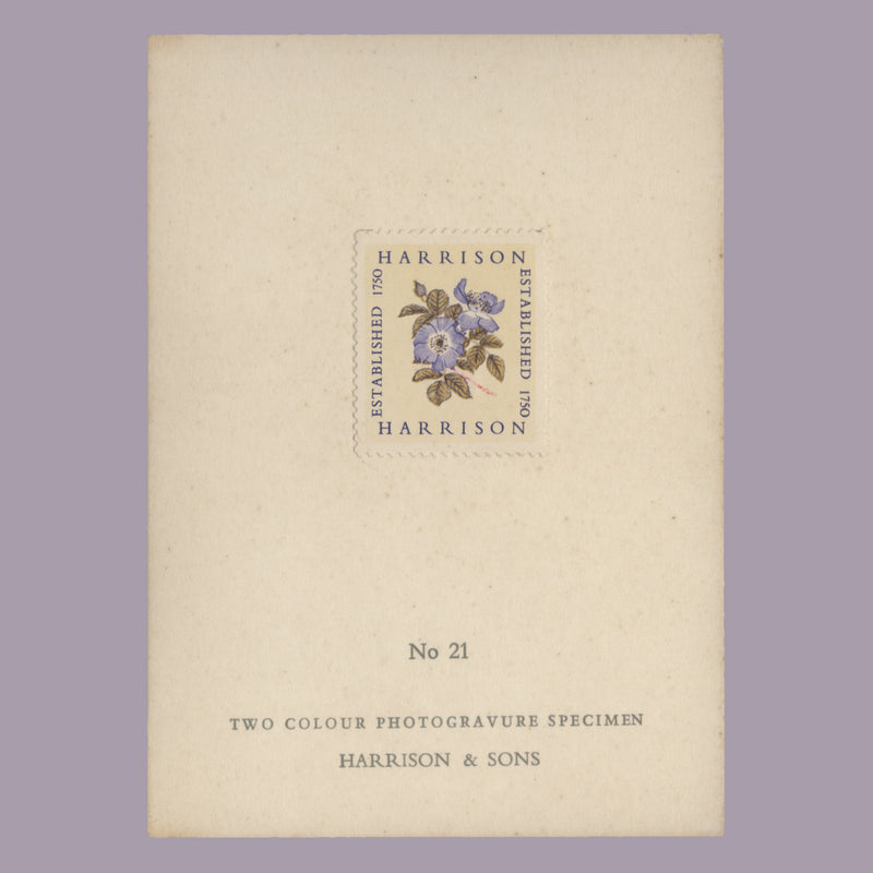 1954 Harrison two-colour Alexandra Rose presentation card, no 21