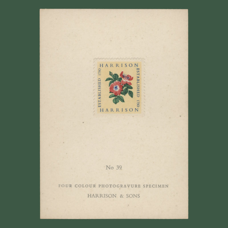 1954 Harrison four-colour Alexandra Rose presentation card, no 39