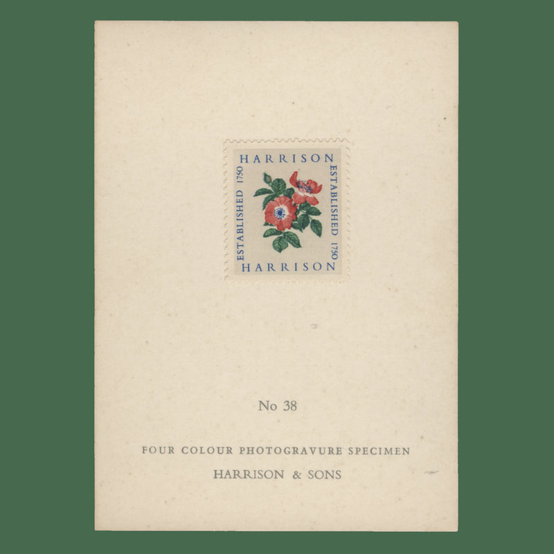 1954 Harrison four-colour Alexandra Rose presentation card, no 38