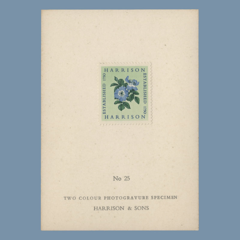 1954 Harrison two-colour Alexandra Rose presentation card, no 25