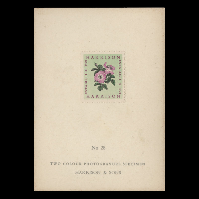 1954 Harrison two-colour Alexandra Rose presentation card, no 28