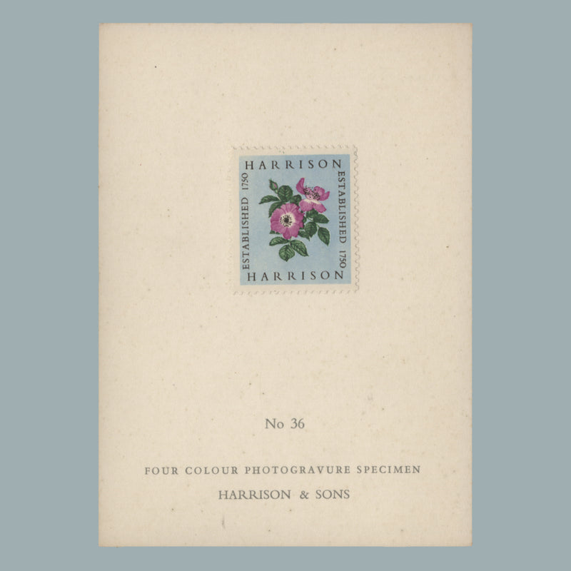 1954 Harrison four-colour Alexandra Rose presentation card, no 36