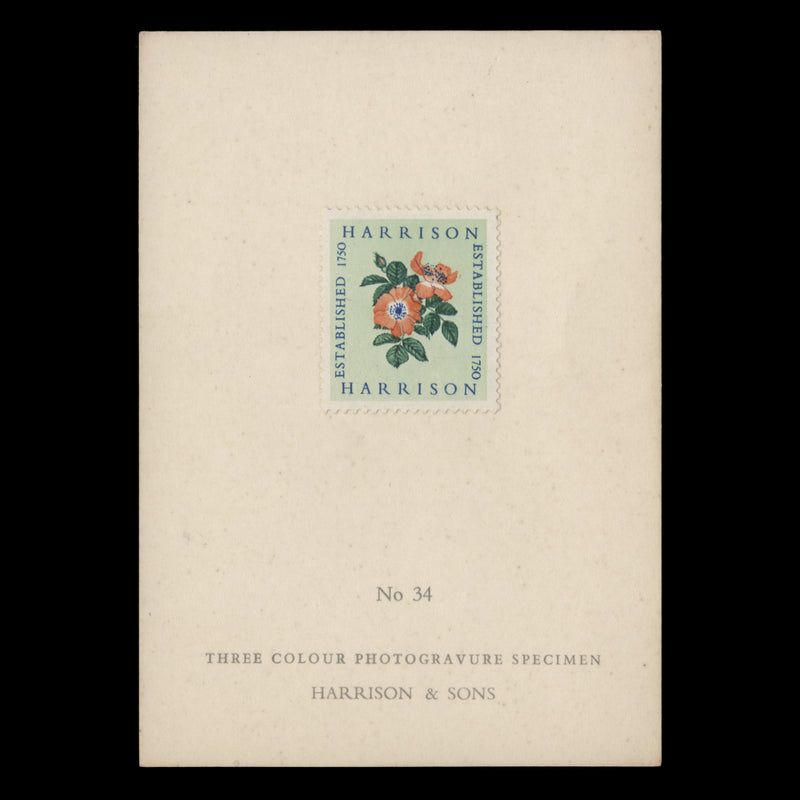 1954 Harrison three-colour Alexandra Rose presentation card, no 34