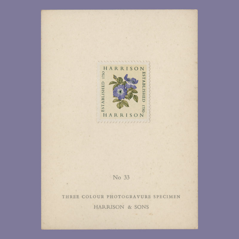 1954 Harrison three-colour Alexandra Rose presentation card, no 33