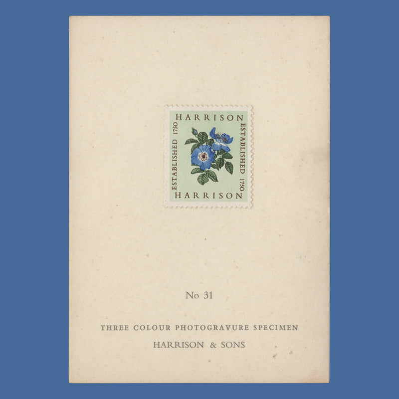 1954 Harrison three-colour Alexandra Rose presentation card, no 31