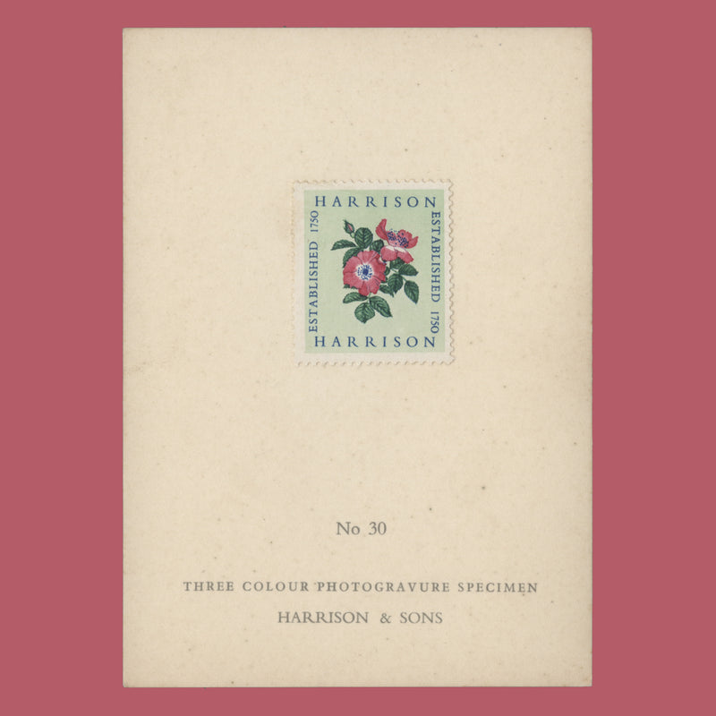 1954 Harrison three-colour Alexandra Rose presentation card, no 30