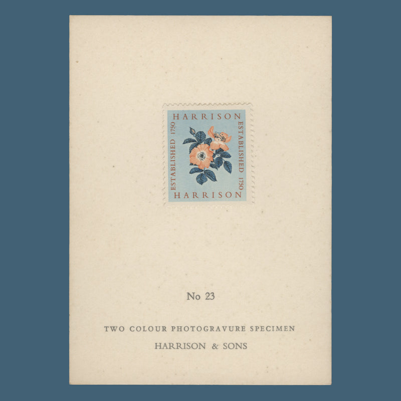 1954 Harrison two-colour Alexandra Rose presentation card, no 23