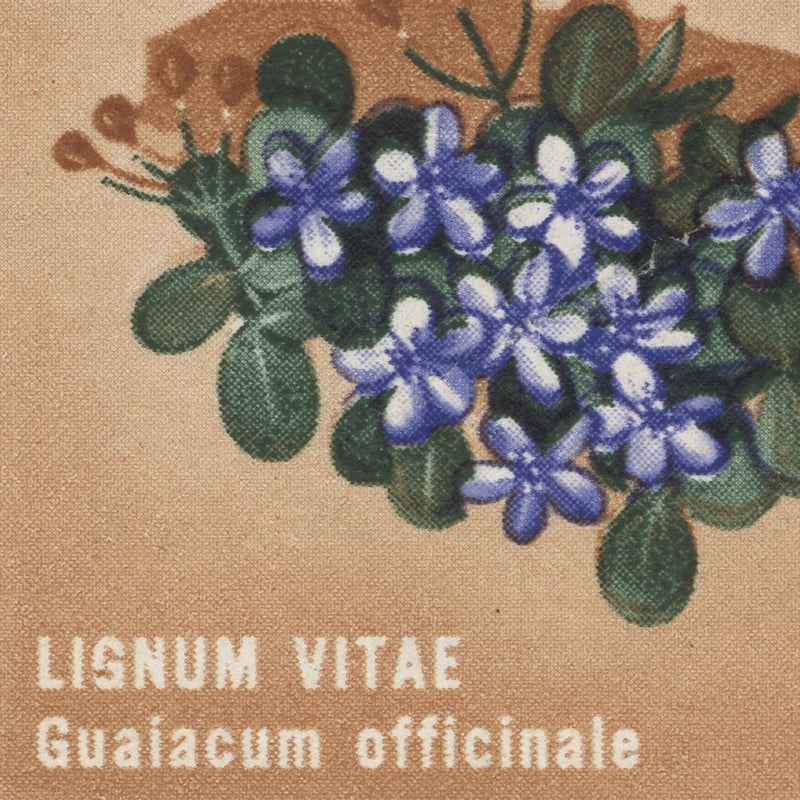 Jamaica 1964 (Variety) 1d Lignum Vitae plate 1C–1C–1C block with 'LISNUM' flaw