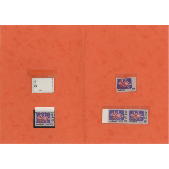 Kedah 1983 Phaeomeria Speciosa redrawn essay in presentation folder