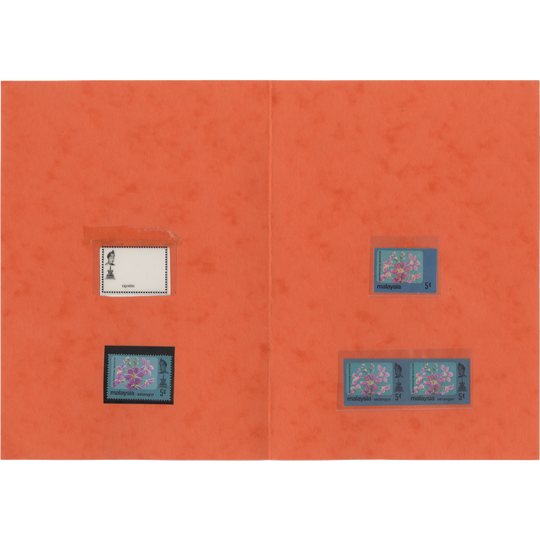 Selangor 1983 Lagerstroemia Speciosa redrawn essay in presentation folder