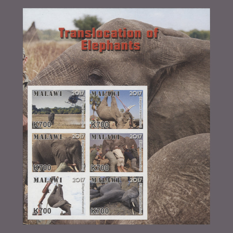 Malawi 2017 (Variety) K700 Translocation of Elephants imperf miniature sheet