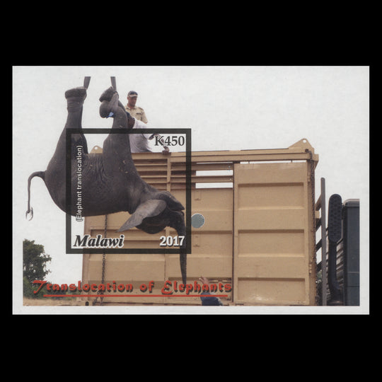 Malawi 2018 (Variety) K450 Translocation of Elephants imperf minitaure sheet