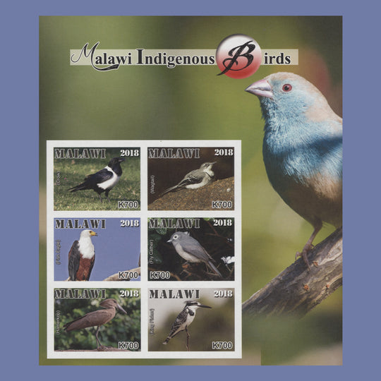 Malawi 2018 (Variety) Indigenous Birds imperf miniature sheet