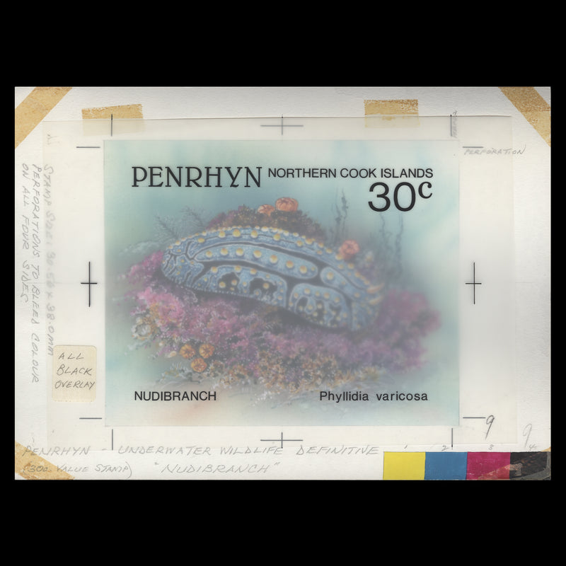 Penrhyn 1993 Varicose Nudibranch watercolour artwork by Gordon Drummond