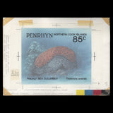 Penrhyn 1993 Prickly Sea Cucumber watercolour artwork by Gordon Drummond