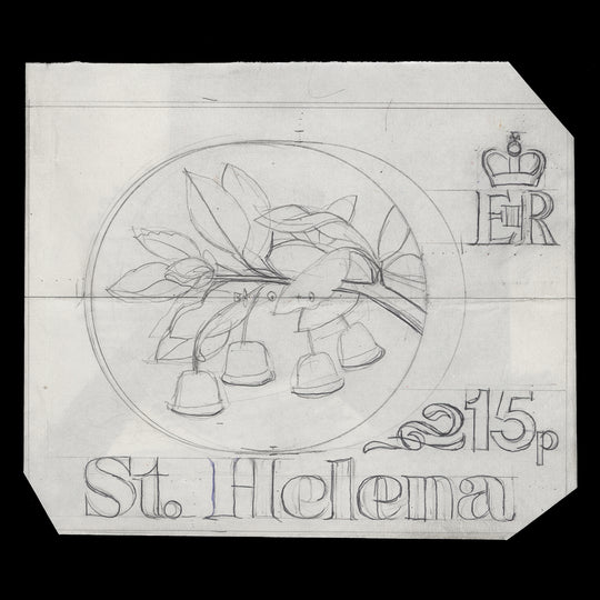 Saint Helena 1981 Gumwood pencil essay by Daphne Padden