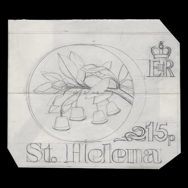 Saint Helena 1981 Gumwood pencil essay by Daphne Padden