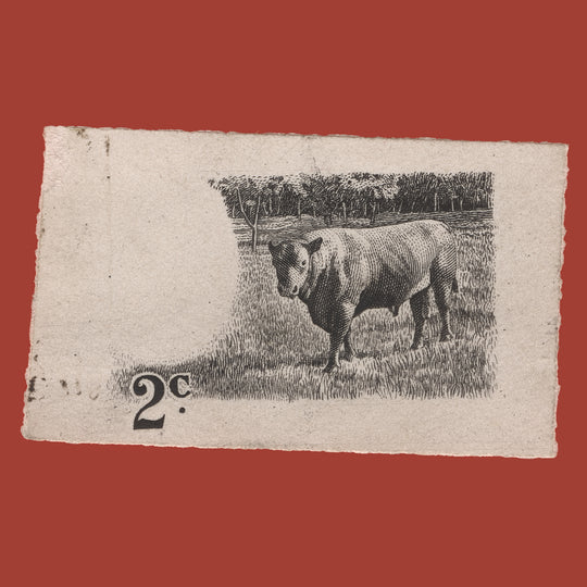 British Virgin Islands 1956 Nelthrop Red Poll Bull stage die proof in black